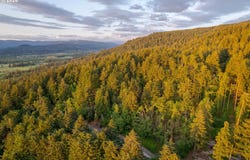 S 73rd Ave, Springfield, OR 97478