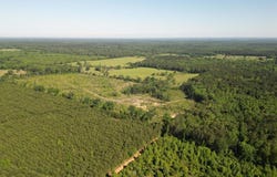 CR 2729, Naples, TX 75568