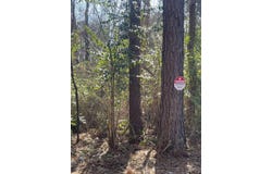 CR 2151 (Tract 7A), Troup, TX 75789