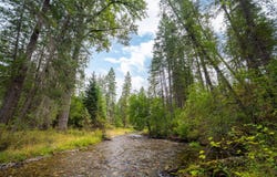 3 Craws Nest Loop, Thompson Falls, MT 59873