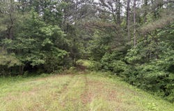 Highway 45, Porterville, MS 39352