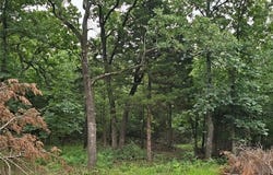 1727 Fox Run Road, Mannford, OK 74044