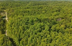 Pleasant Run, West Liberty, KY 41472