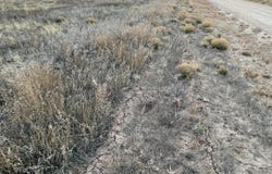 Esperanza - Lots 6-8 Avenue, Moriarty, NM 87035