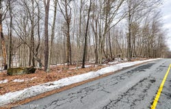 Eagle Path lot: 28, Bushkill, PA 18324