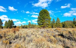 Tableland Road, Sprague River, OR 97639