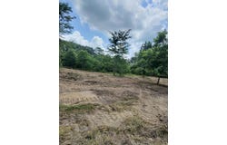 Easement Road off Polk Road 31, Cove, AR 71937