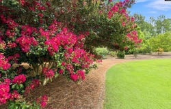 584 Southgate Drive, Camden, SC 29020