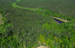 Gantt Road, Red Level, AL 36474