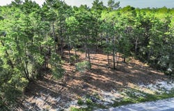 1931 Cape St, Carrabelle, FL 32322