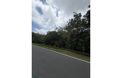 Cedro Abajo, Naranjito, PR 00719