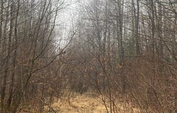 ON County Highway I, Ogema, WI 54459