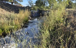 TBD Hwy 151, Ignacio, CO 81137