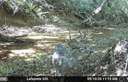 County Road 428, PARIS, MS 38949