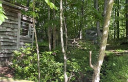 5 Allen Road, Windham, NH 03087