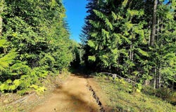 Alder Way, St. Maries, ID 83861