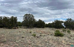 100 Squaw Pass, Quemado, NM 87829
