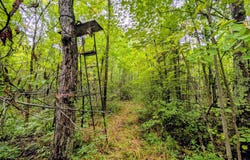 6871N CLOVER RD S, Winter, WI 54896