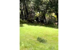 43929 Badger Hollow Trl, Oakhurst, CA 93644