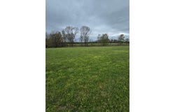 Adams Lane, Rogersville, MO 65742