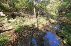 County Road 330, Gainesville, MO 65655