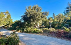10001 West DR, FELTON, CA 95018