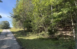 Bear Hollow Rd, Oneida, TN 37841