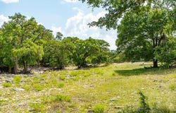 21882 FM 2093, Harper, TX 78631