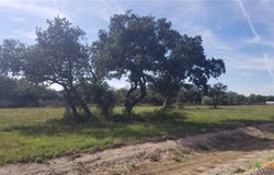 Enchanted Oaks, Inez, TX 77968