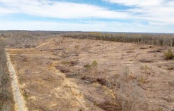 Lawrence Rd 128, Imboden, AR 72434