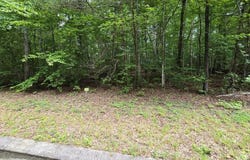 Lower Brow Rd lot: 136, Dunlap, TN 37327
