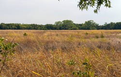 65180 N 2570 Rd., Okeene, OK 73763