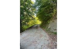 1085 Spring Branch Road, Jeremiah, KY 41826