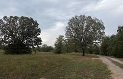 2426 Cataberry Run Rd, Ozark, AR 72949-0000