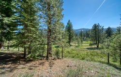 118 Saddle Ridge Road lot: 9, Clio, CA 96106