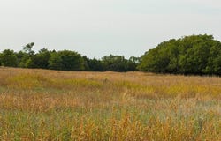 65180 N 2570 Rd., Okeene, OK 73763