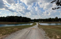 KENDRICK Rd, Michie, TN 38357
