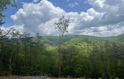 625 Cane Creek Mountain Rd, Tellico Plains, TN 37385