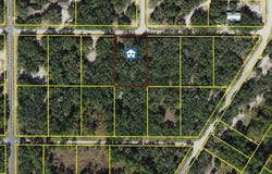 Wheystone Drive, Ridge Manor, FL 33597