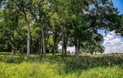 00 Egypt Lane, Washington, TX 77880