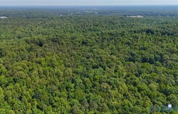 Medlin Lane, King William, VA 23086