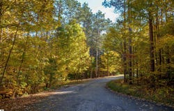 W TIMBER LANE, EMPIRE, MI 49630