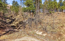 12 W Pergatory Drive, Alpine, AZ 85920