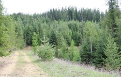 19a Daisy Gulch Rd, Mullan, ID 83846
