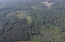 AREA 4 ROAD, Chatham, LA 71226