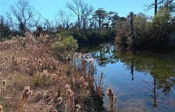 RT 615 Parker Lane, Knotts Island, NC 27950
