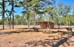 679 Live Oak Drive, Windsor, SC 29856