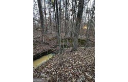 River Ridge Trail, Sparta, GA 31087