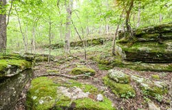 State Hwy 14, Drury, MO 65638