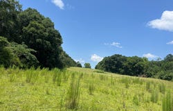 State Highway 134 E, Headland, AL 36345